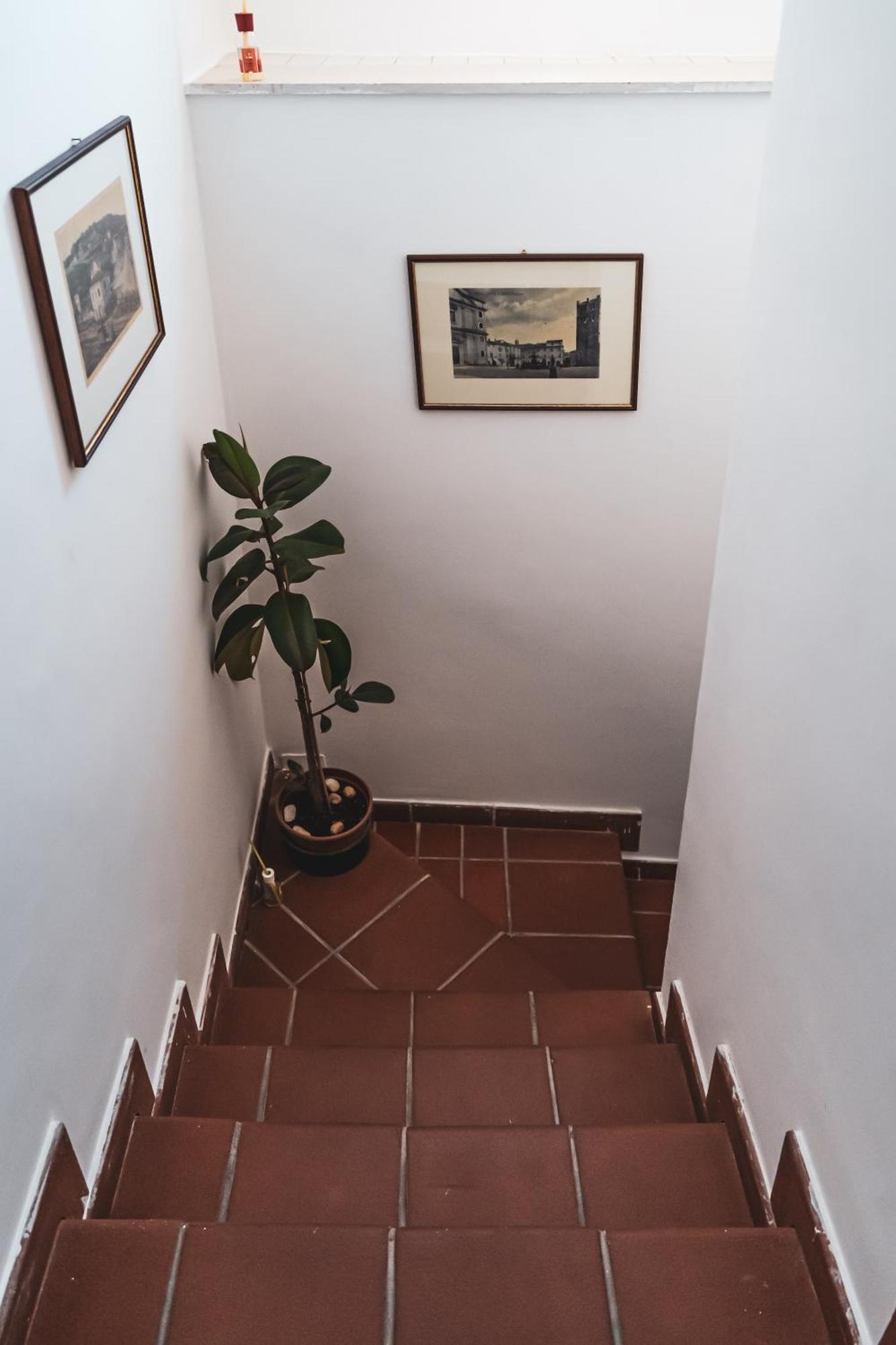 Casina Carina - Intero Appartamento Indipendente Alatri Экстерьер фото