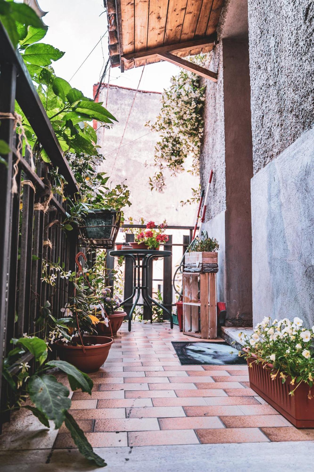 Casina Carina - Intero Appartamento Indipendente Alatri Экстерьер фото